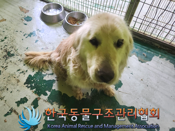 한국동물구조관리협회_441560202300315